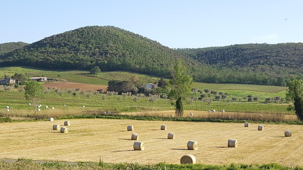 Agriturismo Cupido Montiano  Ngoại thất bức ảnh